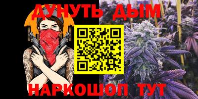 прущие крисы Гатчина