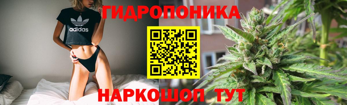 Бошки Шишки семена  Канабис сатива  Шишки марихуана конопля  Новый Уренгой  Вход с VPN 